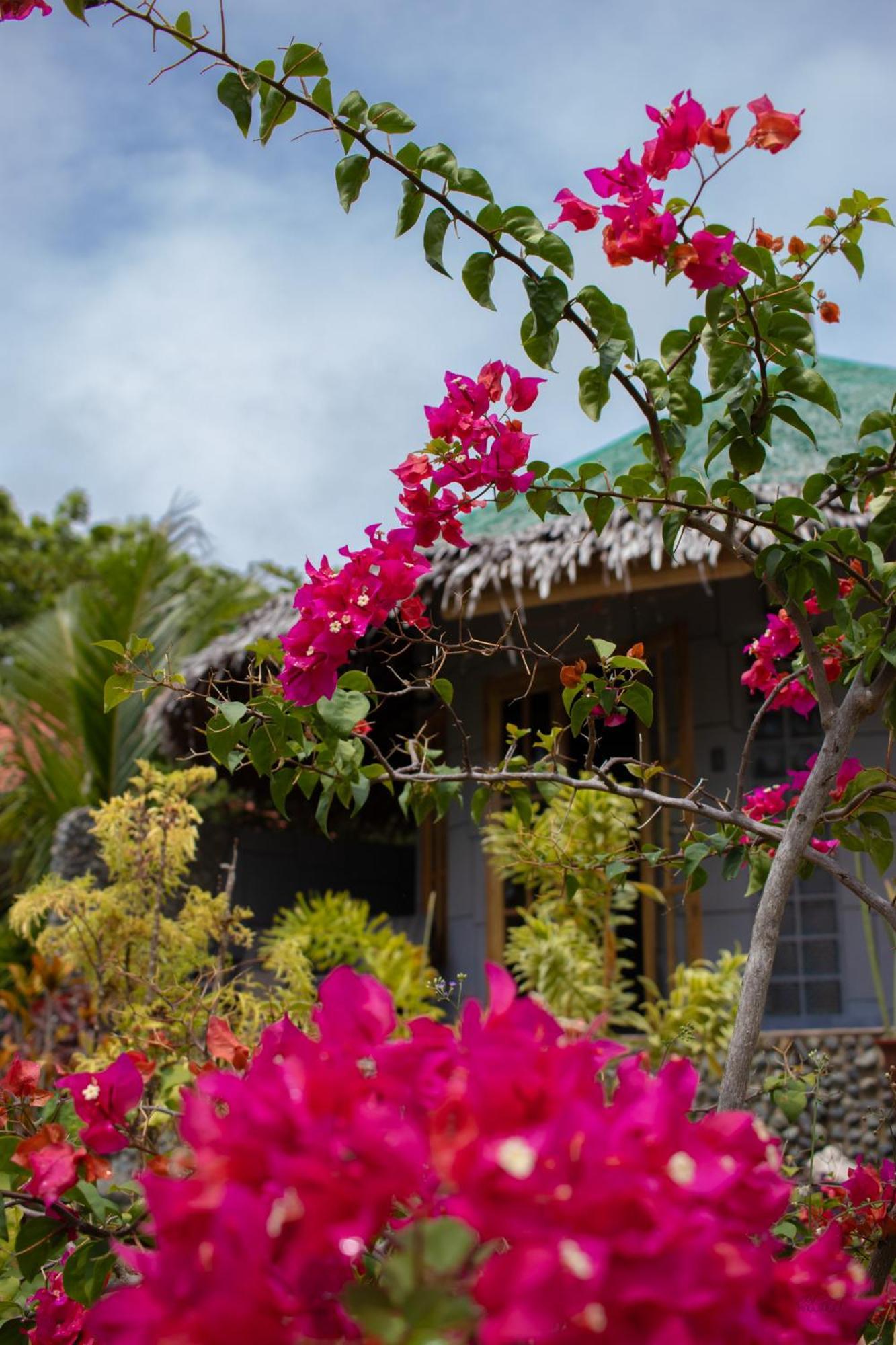 Rhenmart-Inn Siquijor Eksteriør bilde